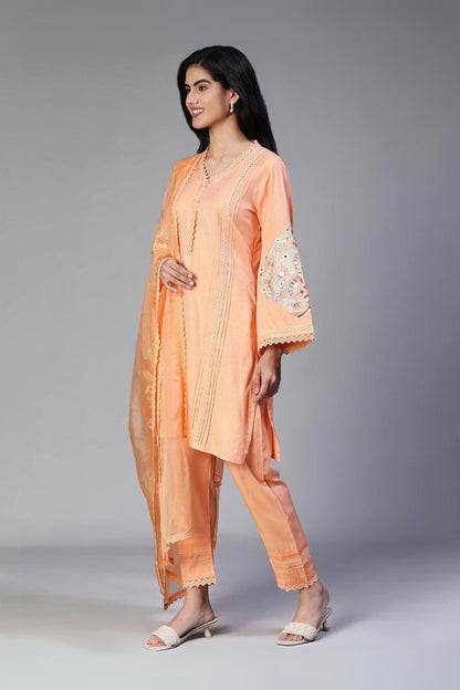 Begonia Suit Set of Three (Pakistani style)